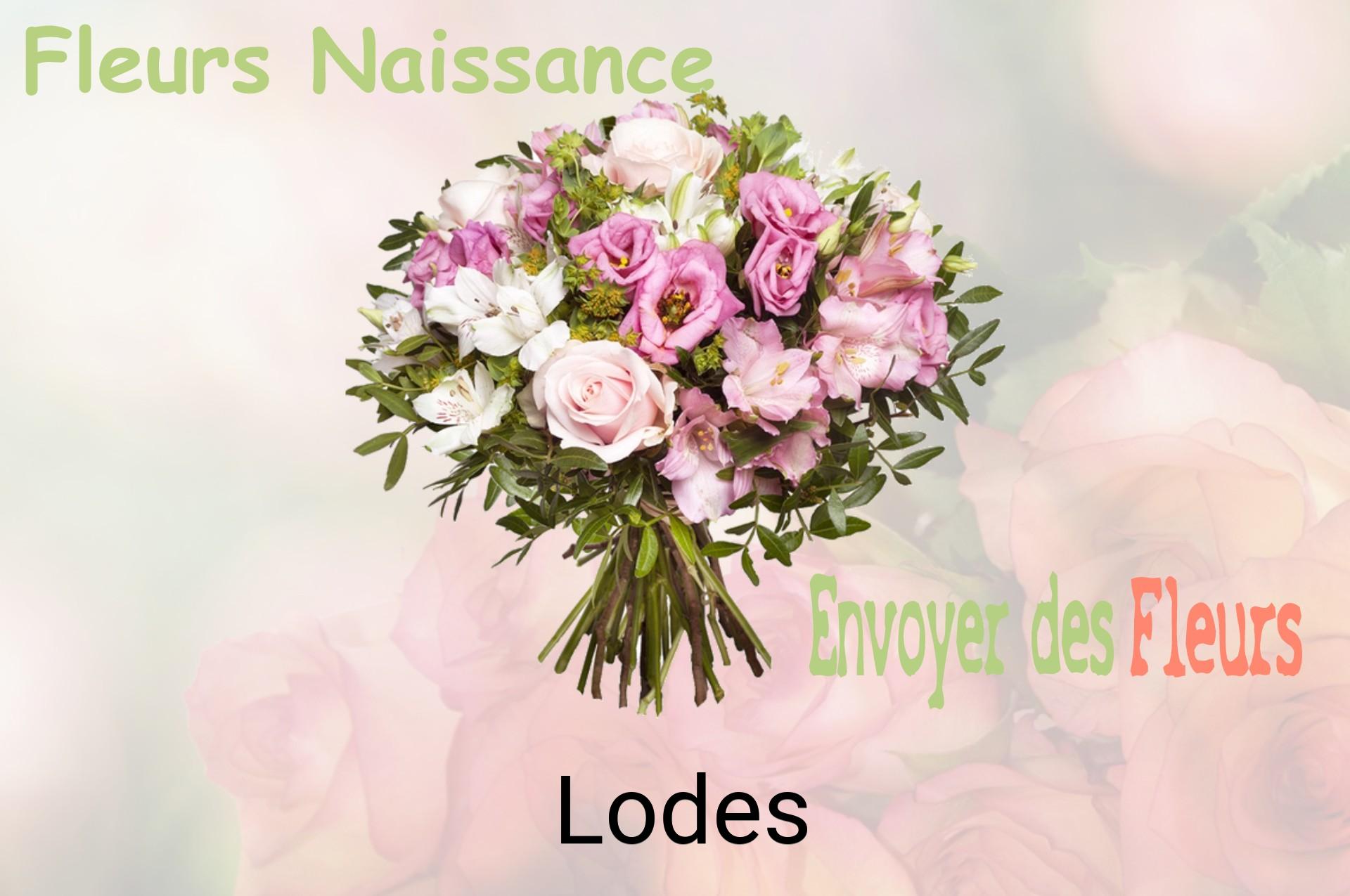 Bouquet de fleurs de naissance livré à Lodes