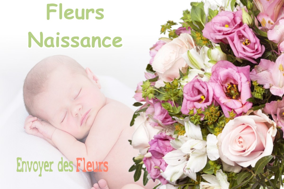 lIVRAISON FLEURS NAISSANCE à LODES