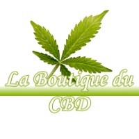 LA BOUTIQUE DU CBD LODES 